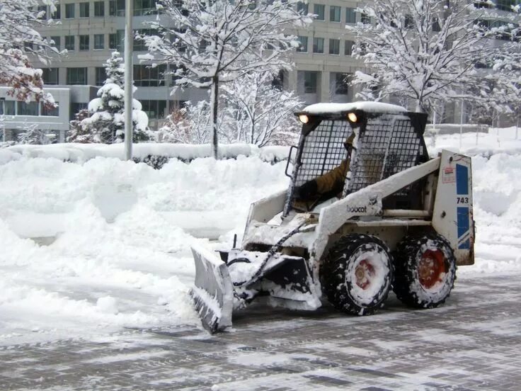 Техника в снегу. Bobcat s185 снегоуборка. Трактор Bobcat для уборки снега. Мини-погрузчик Bobcat для уборки снега. Бобкэт уборка снега.