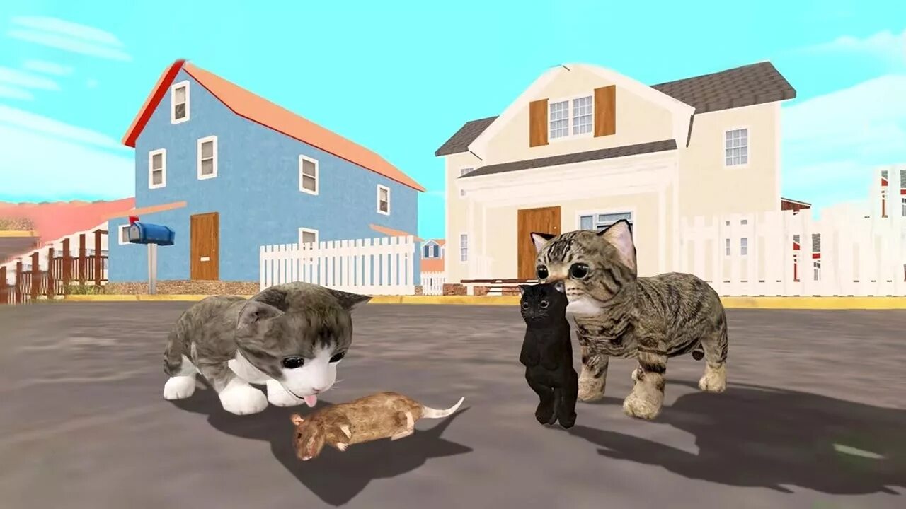 Play cat games