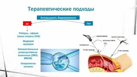 Кок после полового акта