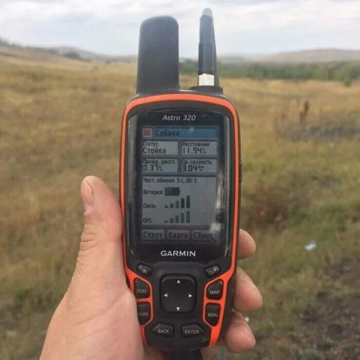 Garmin alpha 200. альфа астро. внешняя антенна для garmin astro 320. альфа астро. альфа астро.