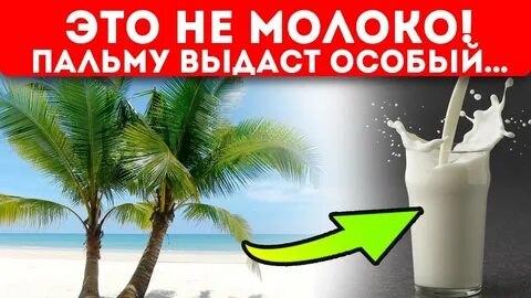 Молоко с пальмовым маслом