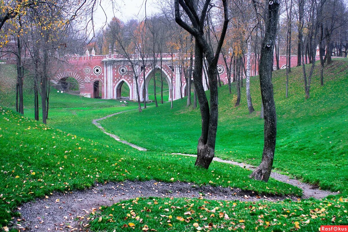 Парк царицыно часы. Царицыно (дворцово-парковый ансамбль). Парк Царицыно аллеи. Пейзажный парк Царицыно. Царицыно парк Поляна.