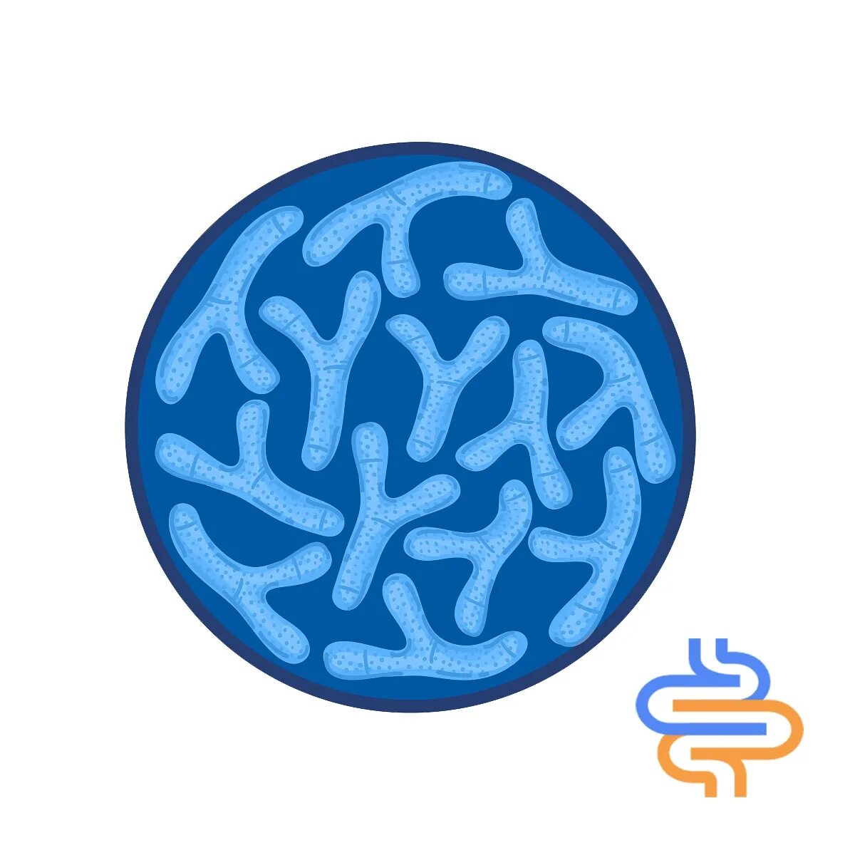 Пробиотик bifidobacterium. Бифидобактерии значок. бифидобактерии рисунок. бифидобактерия для детей. пробиотики иконка.