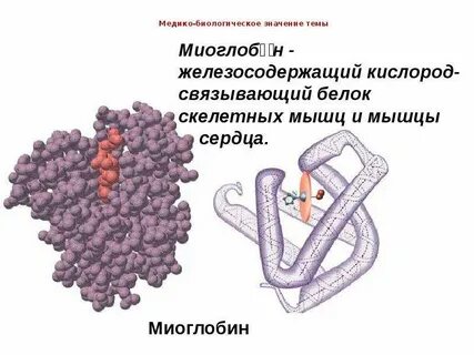 Железо связывает молекулярный кислород