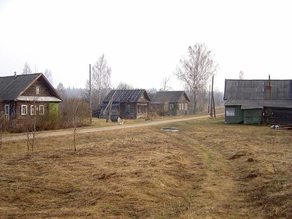 Деревня васильково клинский район. Васильково пучежский район. Село васильково суздальского района. Село васильково суздальский район владимирская область. Деревня василькова.