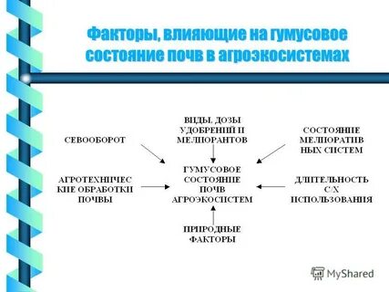 Фактор азия