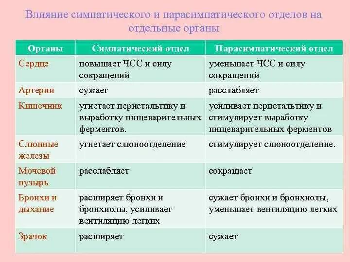 Действия симпатического и парасимпатического отделов. Действие симпатического и парасимпатического отделов таблица. Влияние симпатического и парасимпатического отделов. Влияние на органы симпатической и парасимпатической нервной. Влияние на деятельность органов симпатический отдел.