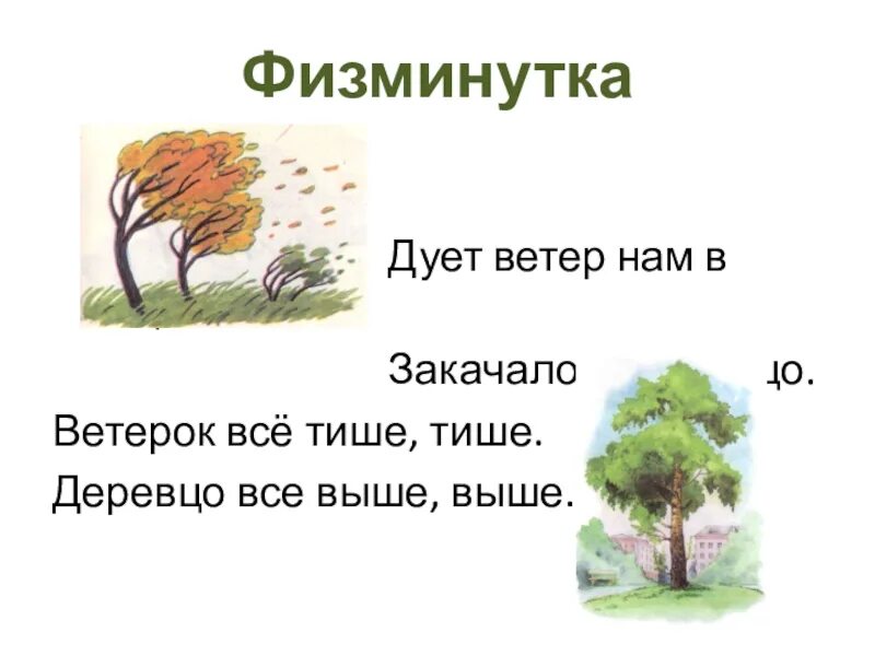 Ветер дует нам в лицо физкультминутка. Физминутка ветерок. Физминутка для детей закачалось деревцо. Ветер ветер физминутка. Песни ветер дует в лицо