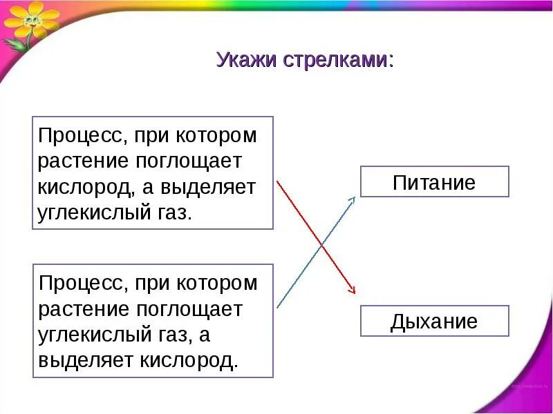 Солнце растения и мы 3 класс. При дыхании растение поглощает. при питании растение поглощает. при дыхании растение поглощает кислород. при питаниирастения поглащает.
