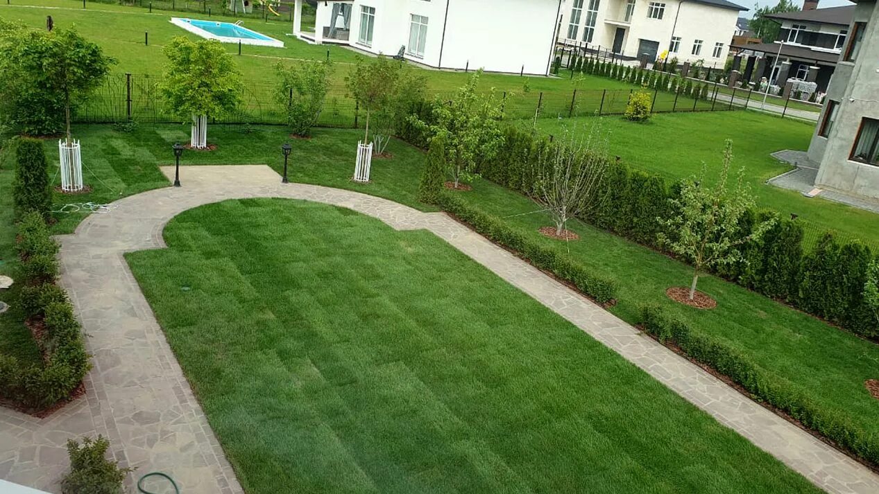 Овсяница красная для газона. Газон рулонный на неровном ландшафте. Подстриженный газон. Первый газон. Газ-51 грузовой.