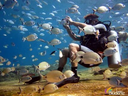 Fishes friend