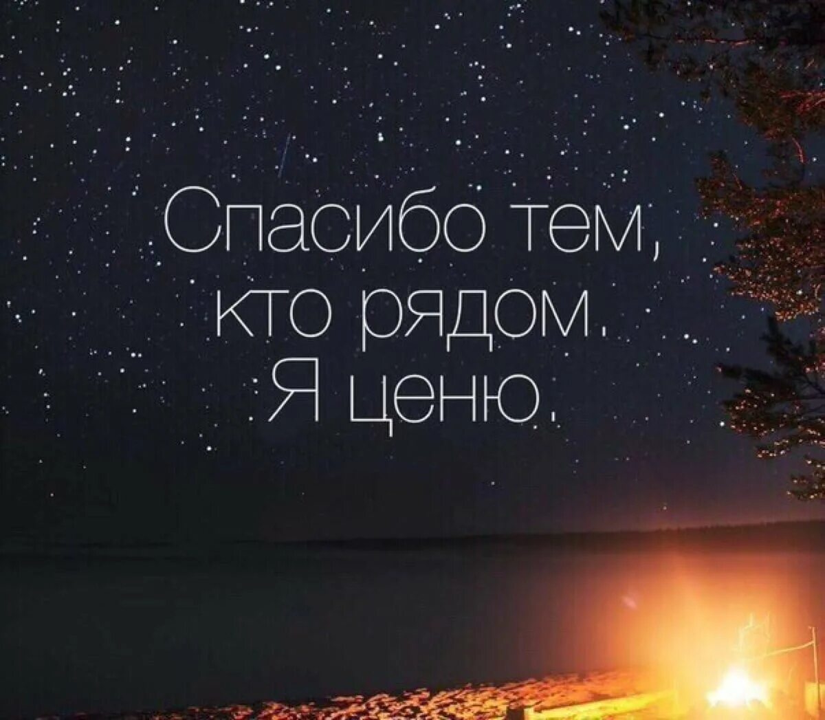 Ценю поддержку