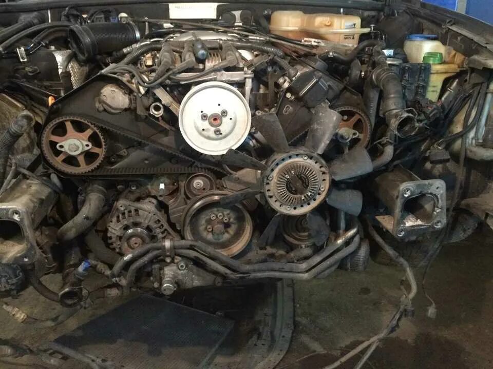 ауди а6 с 5 2. грм ауди а6 2. а6 с5 2. грм ауди а6 с5 2. приводной ремень ауди а8 4.