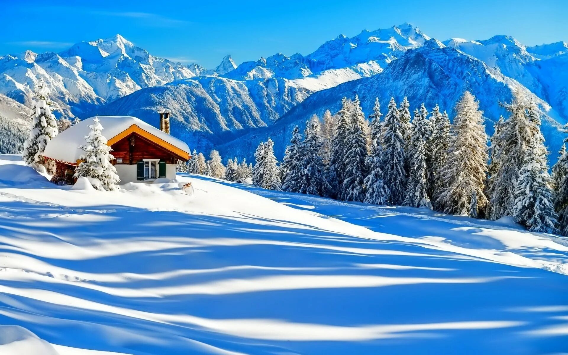 Снежный пейзаж. Зима снег. Красивая зима. Зимняя природа. Зимой в лесу.