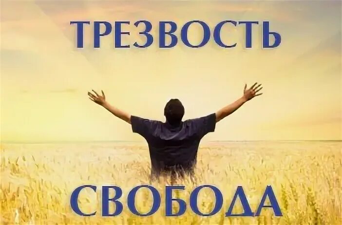 Трезвый мир