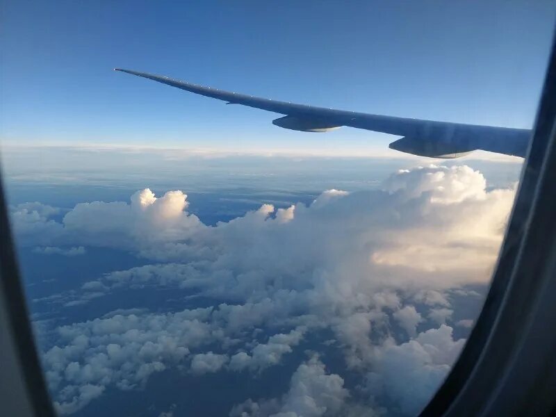 приспособления для сна в самолете. самолет бритиш эйрлайнс. Airbus a330 vip. стюардесса и пассажир. лететь 8 часов.