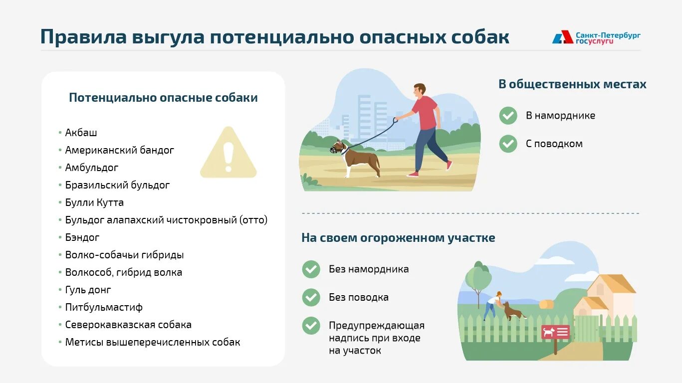 Правила выгула собак в петербурге. Правила выгула собак. правила выгуливания собак. правила выгула домашних животных. правила выгула собак в общественных местах.