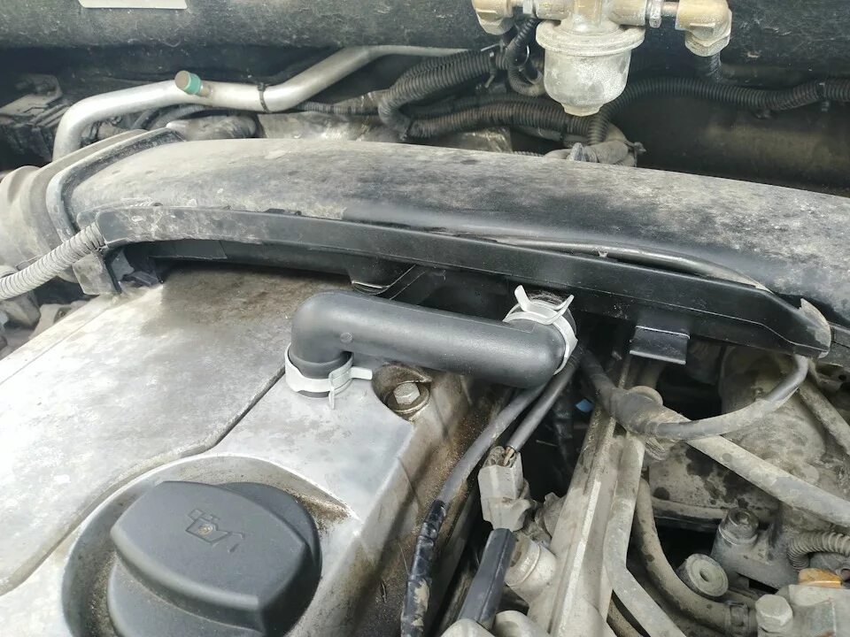 Газ на санëнг кайрон 2,3. Подкапотное пространство ssangyong kyron дизель. Гбо на санг енг кайрон. Гбо на санг енг кайрон. Газ на ssangyong.