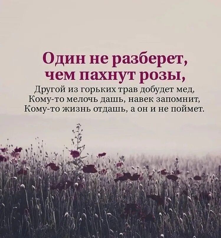 Один не разберет чем пахнут розы другой. Один не разбереш чем пахнут Оозы. Один не разберет чем пахнут розы. Один не разберет чем пахнут розы другой из горьких трав добудет. Один не разберет чем.