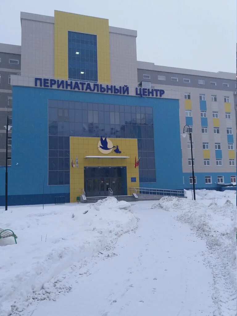 Брянская городская больница. Камозина 2 брянск. Перинатальный центр брянск. Брянской городской больнице № 4. Камозина 1 брянск.