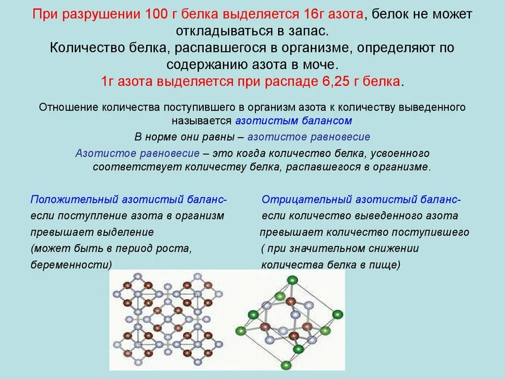 Распад с выделением. Количество азота в белках. Азотистые соединения в организме. Разрушение белков в организме. Определить сколько молекул в белке.