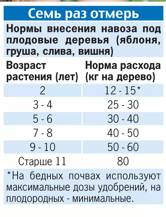 Удобрения под плодовые. Нормы внесения удобрений под плодовые деревья. Таблица внесения удобрений под плодовые деревья. Нормы внесения удобрений под плодовые деревья весной. Нормы внесения Минеральных удобрений под плодовые.