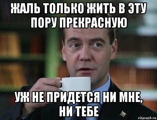 Жаль в эту пору прекрасную. Жаль только жить в эту пору прекрасную уж. жаль только жить в эту пору прекрасную уж не придется не мне не тебе. жаль только жить в эту. жить не придётся не мне ни тебе.