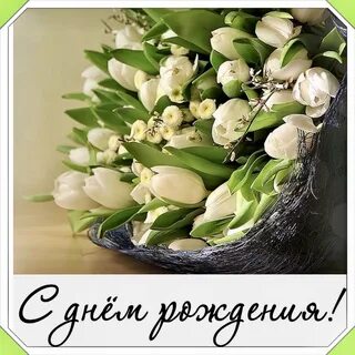 i?id=d3670a6b25e82549a10d35fc8920879cea0bd0b2-7662747-images-thumbs&n=13