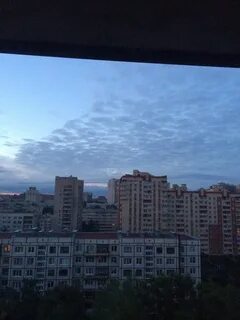 Окна белые ночи