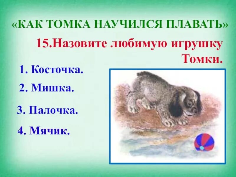 Как томка научился. Рассказ как томка научился плавать. как томка научился плавать чарушин. автор чарушин как томка научился плавать. как щенок томка научился плавать.