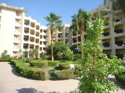 Hotelux marina beach 4 отзывы