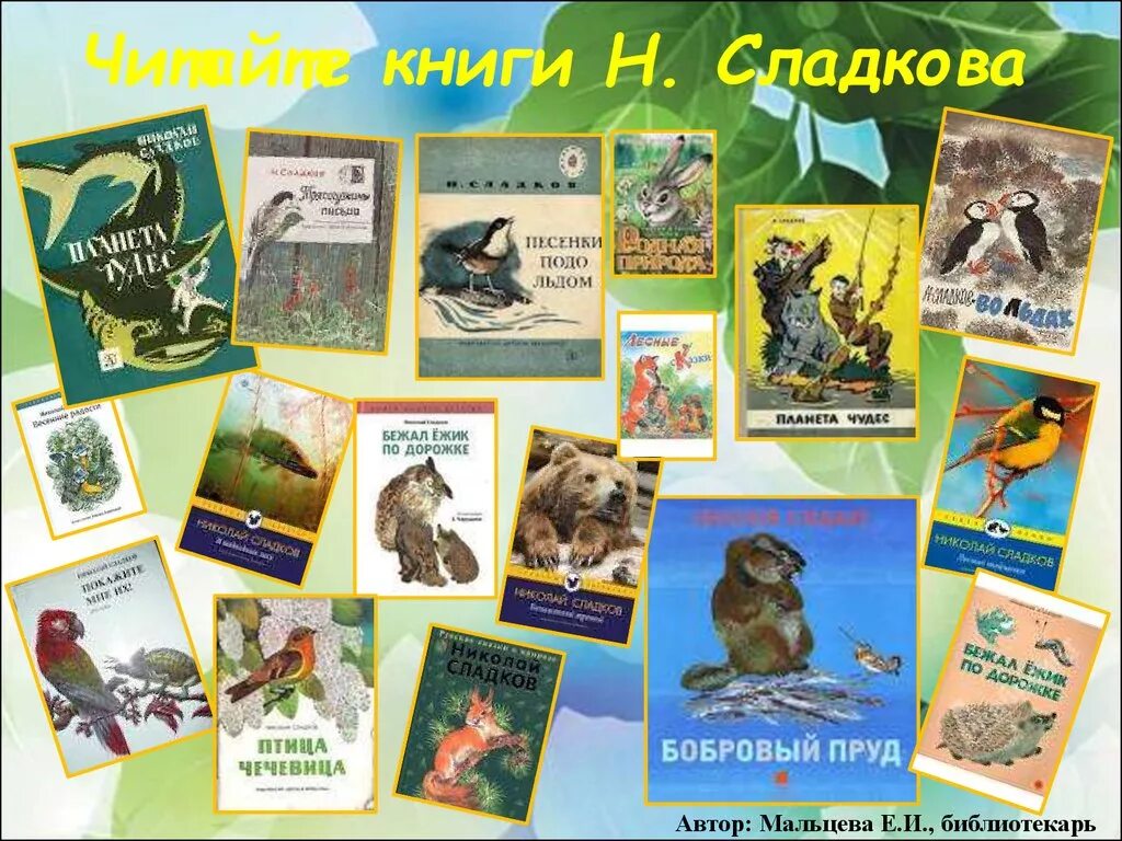 Писатели которые открывали тайны природы. Произведение Николая Сладкова. Произведения о природе Сладкова. Произведения Сладкова 2 класс.