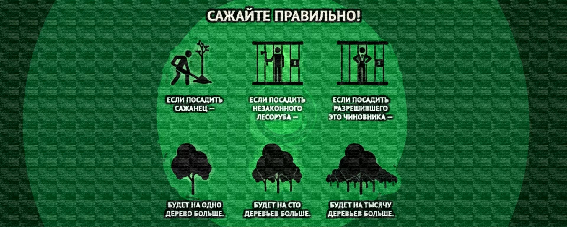 Как правильно сеяте или сеете. Сажайте правильно. Сажайте правильно картинки. Посади дерево посади чиновника. Садите или сажайте как правильно.