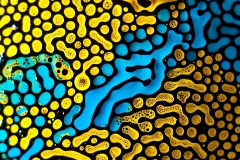 Science art
