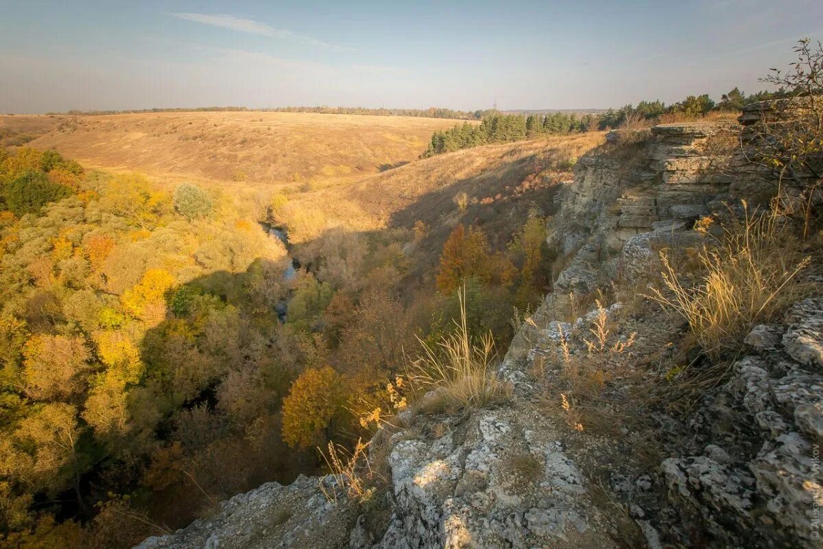 Заповедник галичья гора в липецкой области. Липецк горы заповедник галичья гора. Урочище галичья гора. Галичья гора задонск. Липецк заповедник галичья гора.