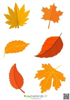 Printable Autumn Leaves Outline Templates for Kids Craft