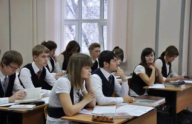 Система лицеев