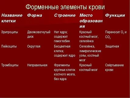 Лейкоциты эритроциты что это