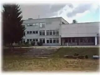 Сайт 175 школы зеленогорск