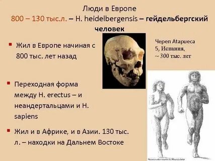 Исторический возраст человека