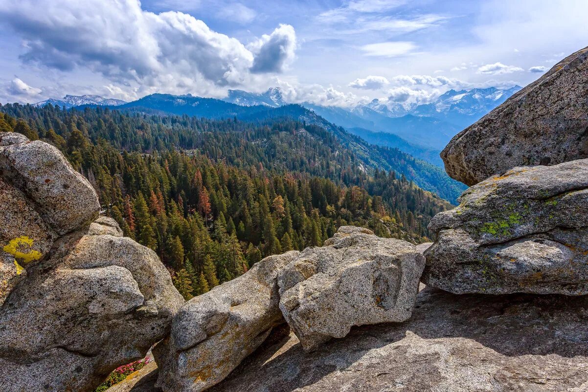 "гора камней" (туми иши). камни в горах фото. камни в горах. гора стоун-маунтин. курумник хибины.