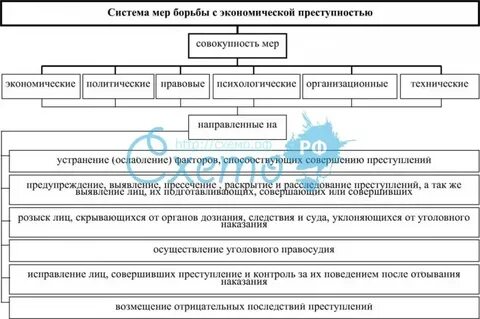 Меры борьбы с преступностью