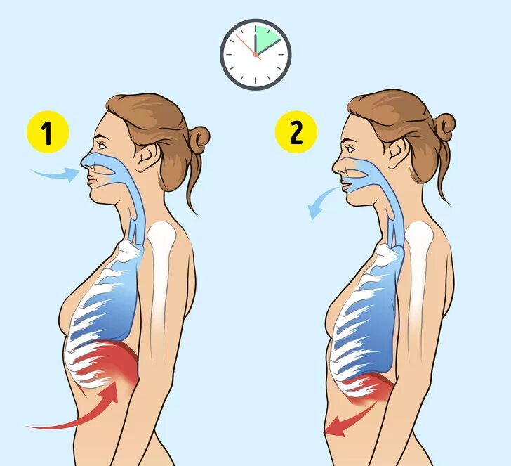 Резкие вдохи носом. Фиксированный выдох. Тренировка глубокого дыхания. Дыхание упражнения и техники. Техника правильного дыхания.