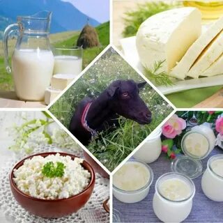 Козье продукты