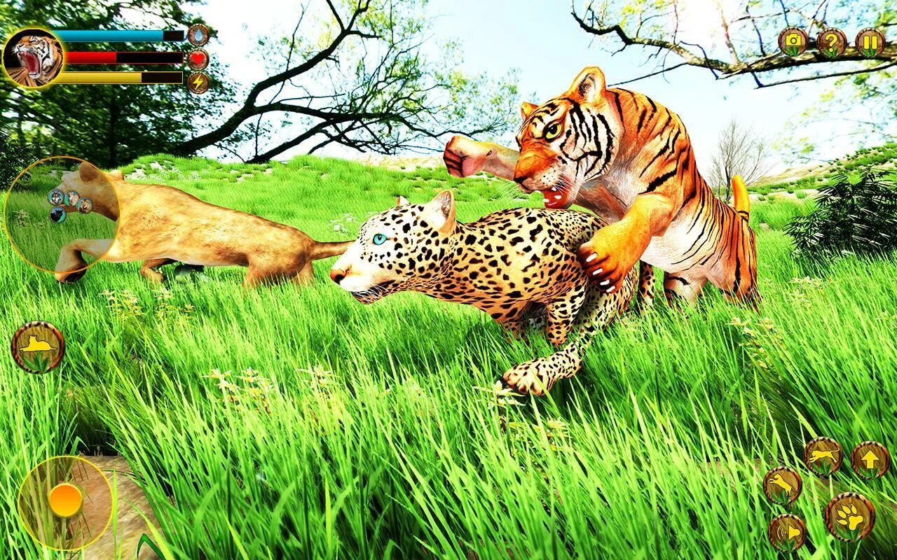 Игры против животных. Игра животные. игра игры для тигры. игры лев и тигр. симулятор тигра 3д.
