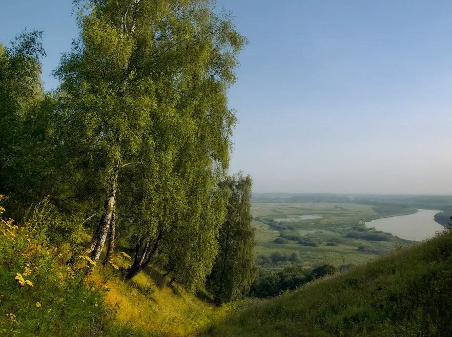 Родной край владимирская область. Нерль (приток клязьмы). Река ушна владимирская область. Родной край владимирская область. Окшово владимирская область.