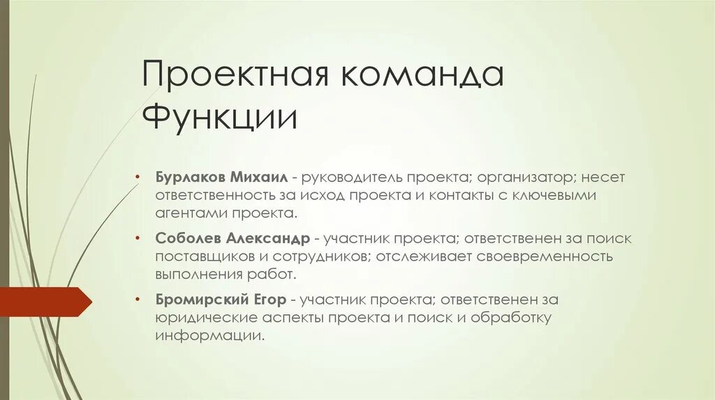 Команда в проектной деятельности. Функции команды проекта. Команда проекта роли и функции. Функционал в команде проекта. Команда проекта фцнкци.