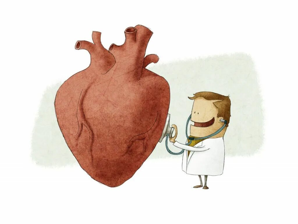 Сердце человека и доктор. Забавное сердце. Смешные картинки кардиология. Смешной кардиолог.