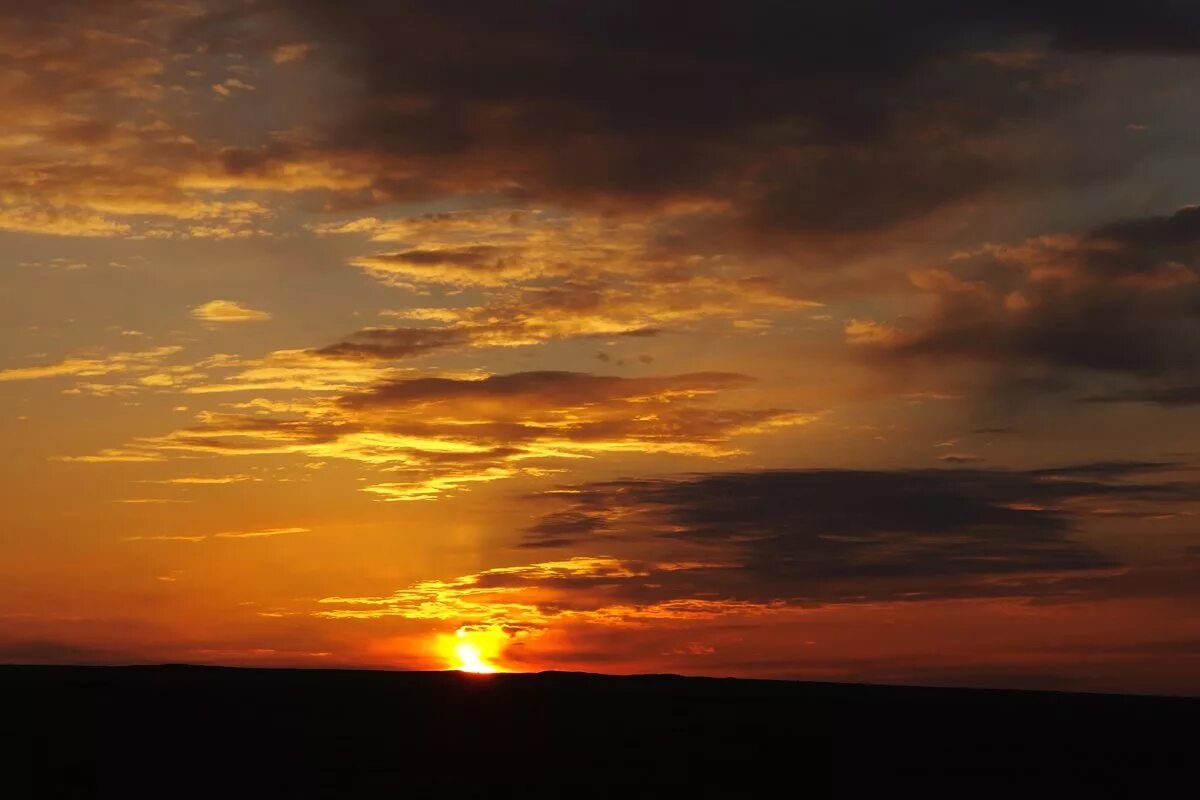 станция степная астраханская область. холст. тюльпаны в степи калмыкии. восход солнца в степи в калмыкии. калмыкия степь.