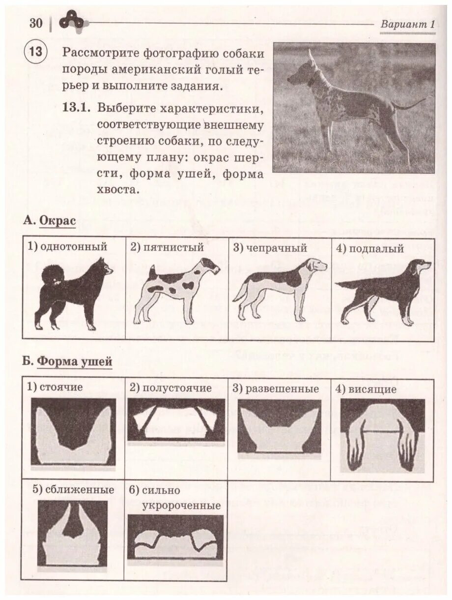 Решу впр биология 8кл концентрическая. ВПР биология. ВПР биология 7 класс. ВПР по биологии 7 класс биология. ВПР по биологии седьмой класс животные.